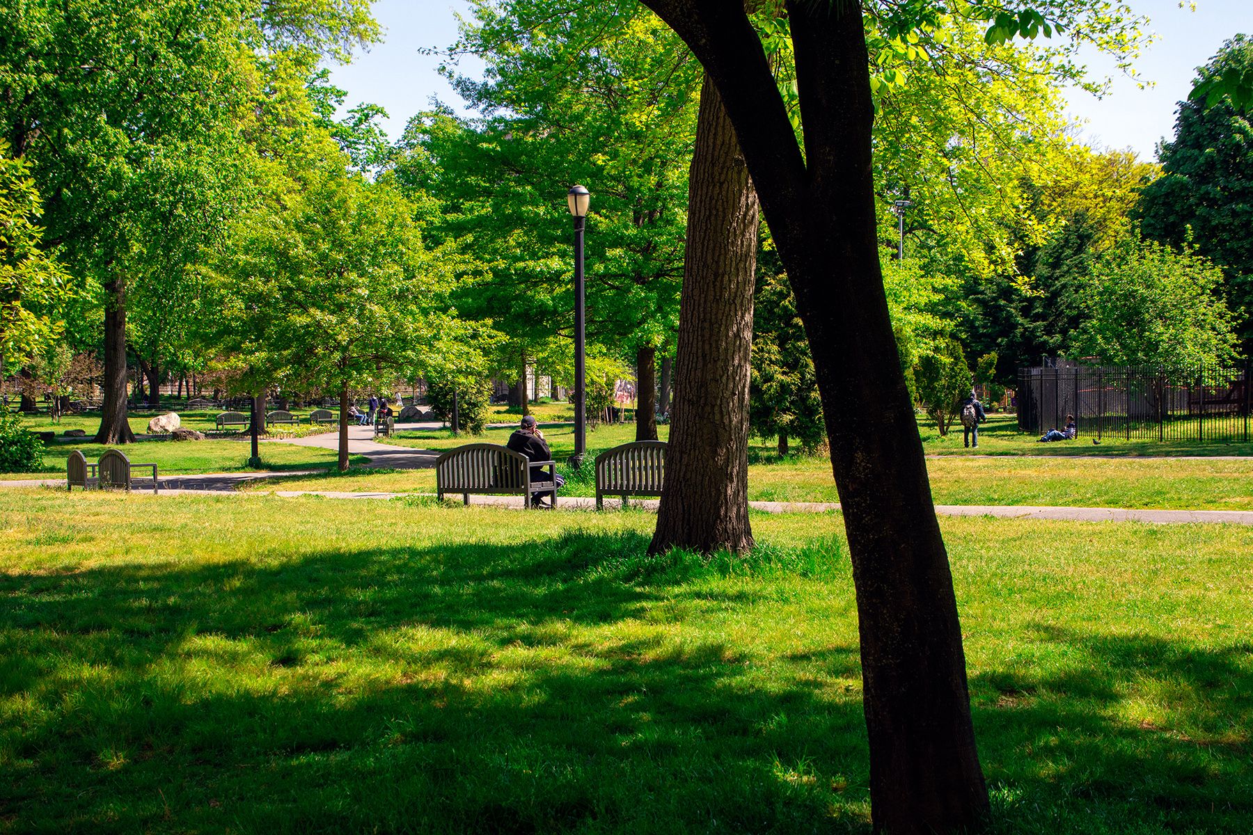 Park on a sunny day with grass, trees, benches and people walking and sitting in the distance