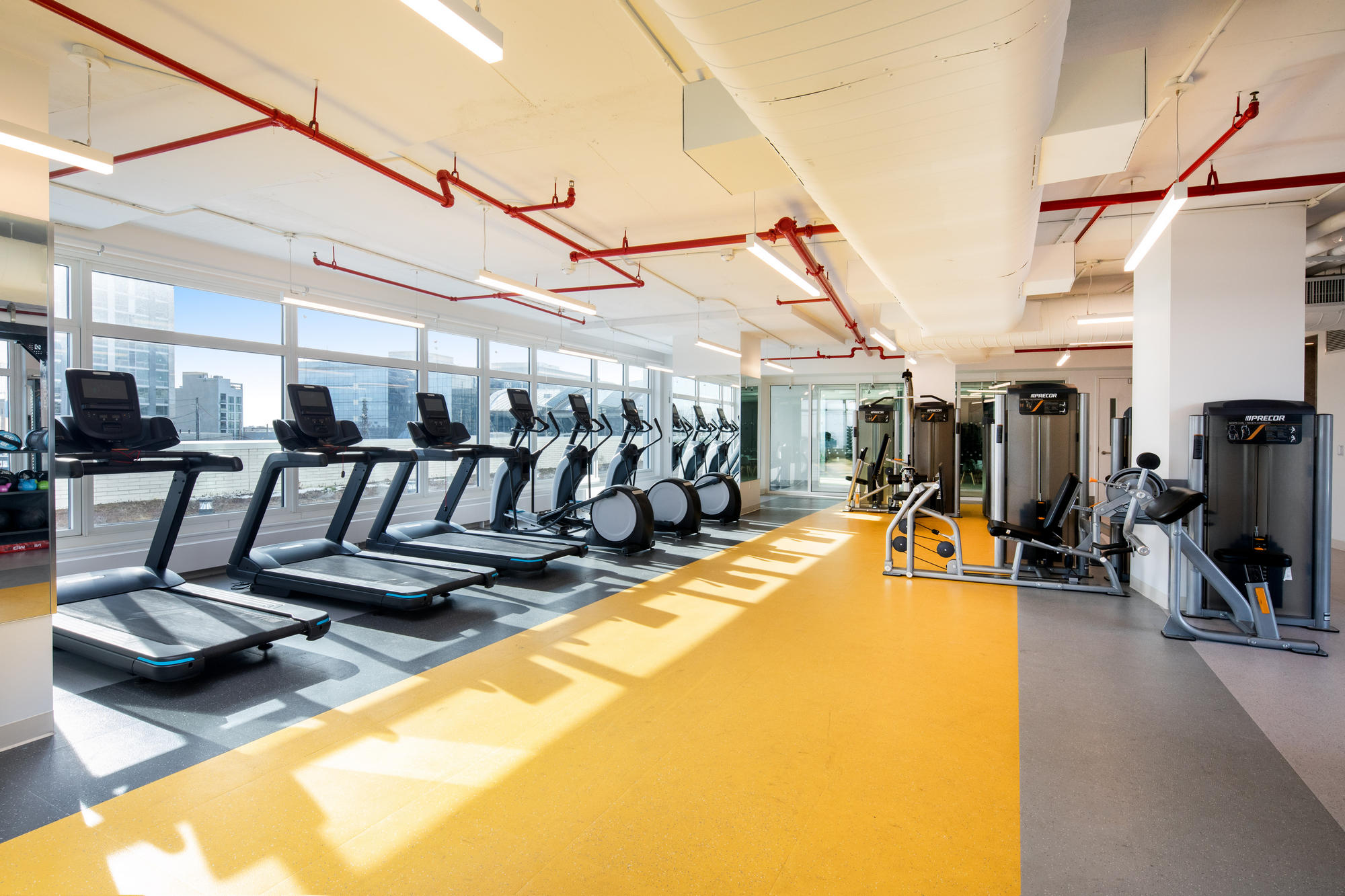 Large fitness center with grey and yellow floors, large windows, weight machines, numerous treadmills and elliptical machines